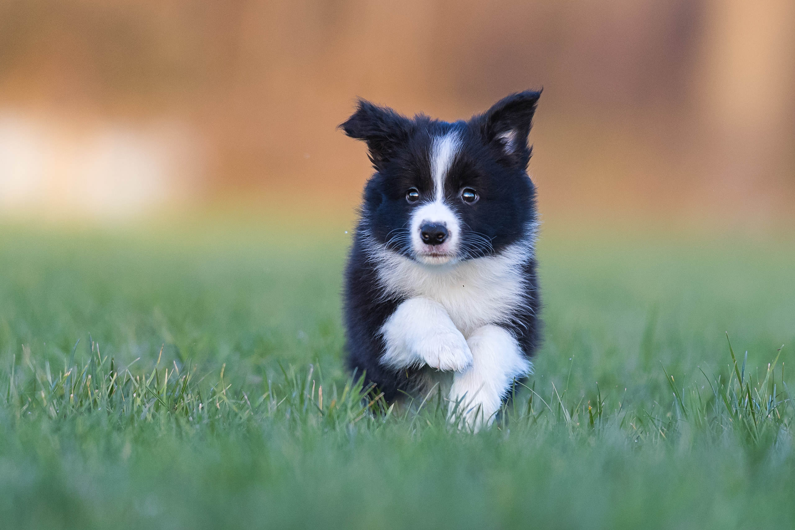 Fotoshooting