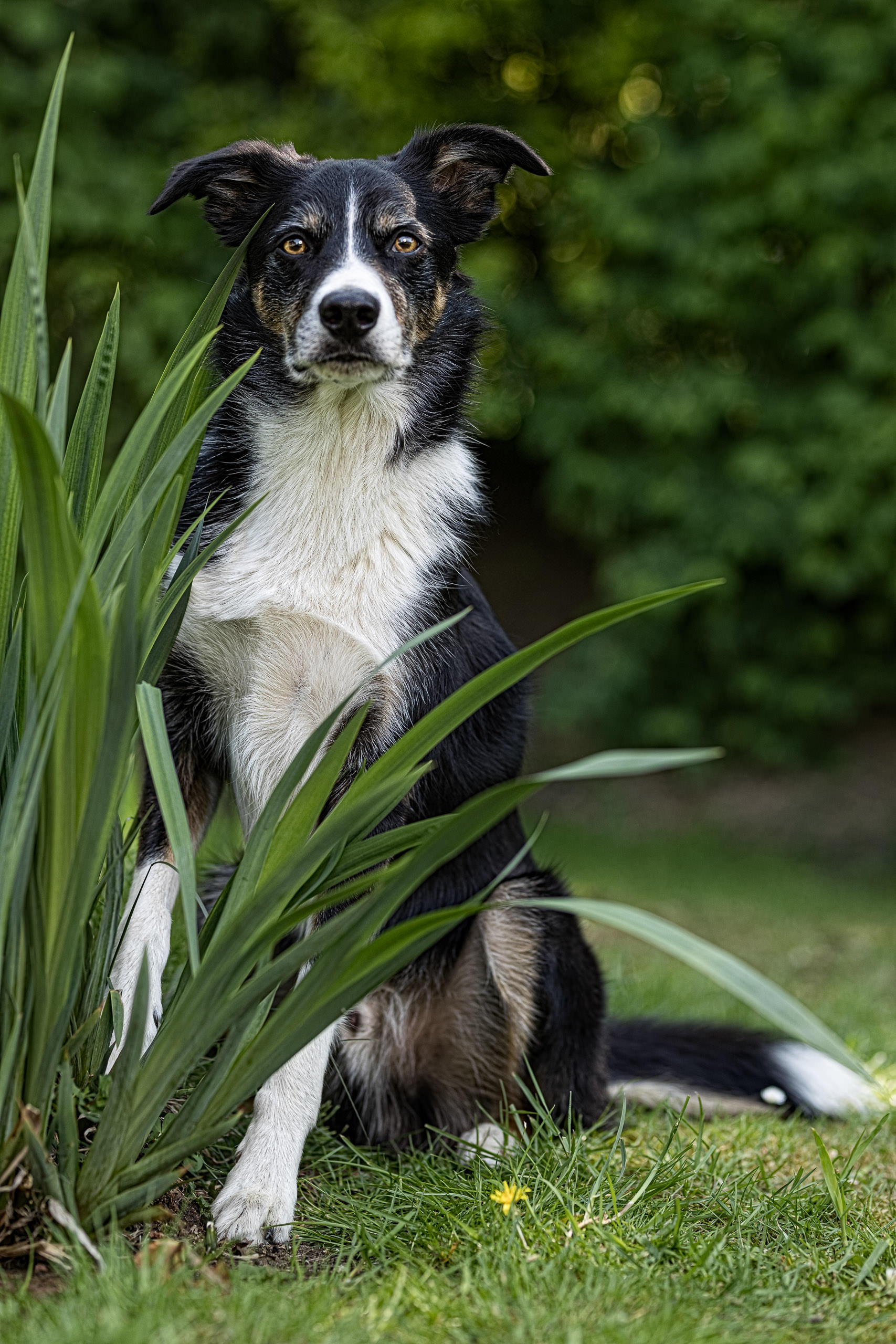 Fotoshooting