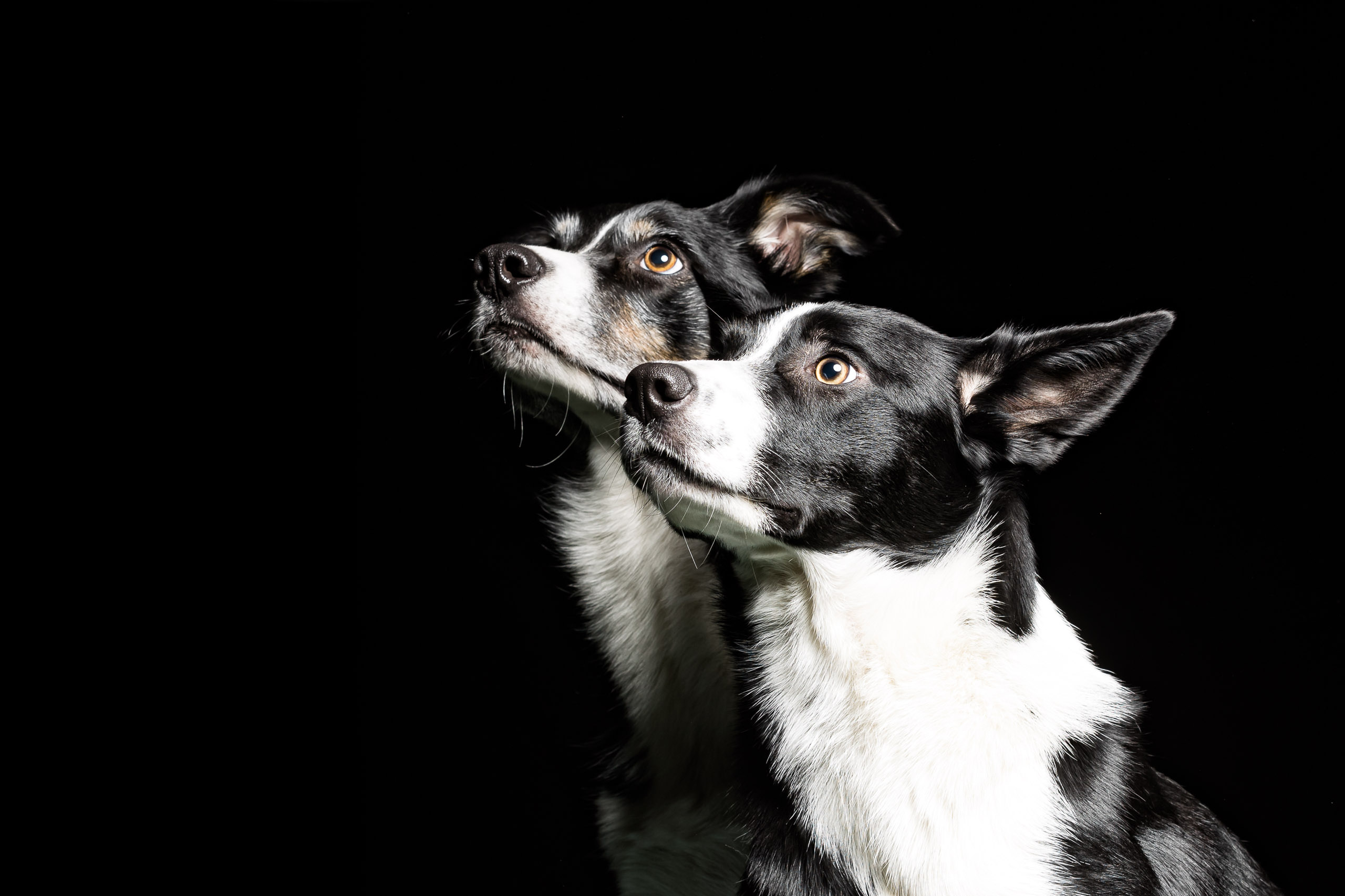 Fotoshooting