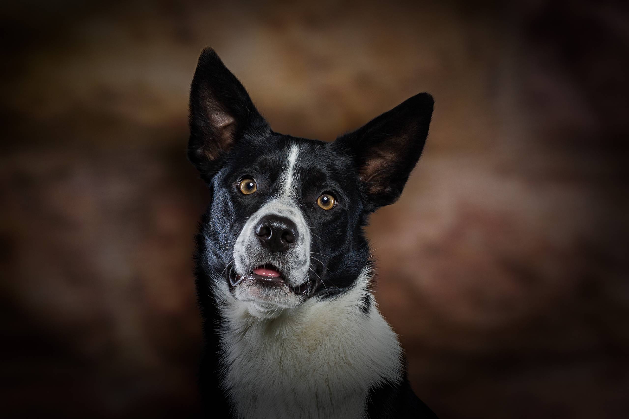 Fotoshooting