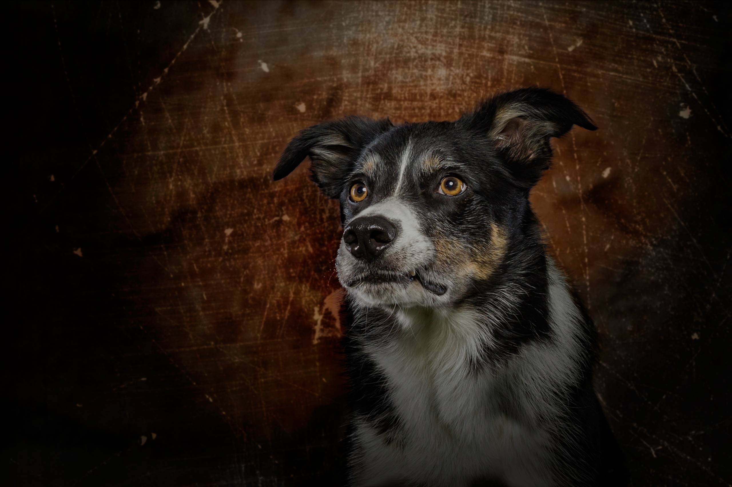 Fotoshooting