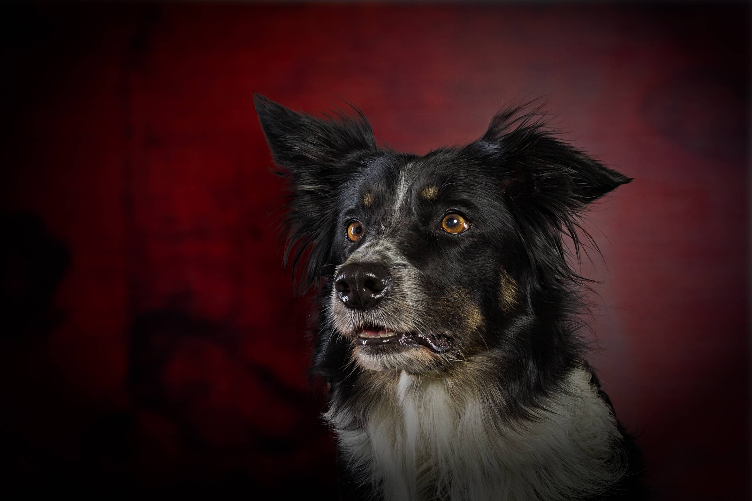 Fotoshooting