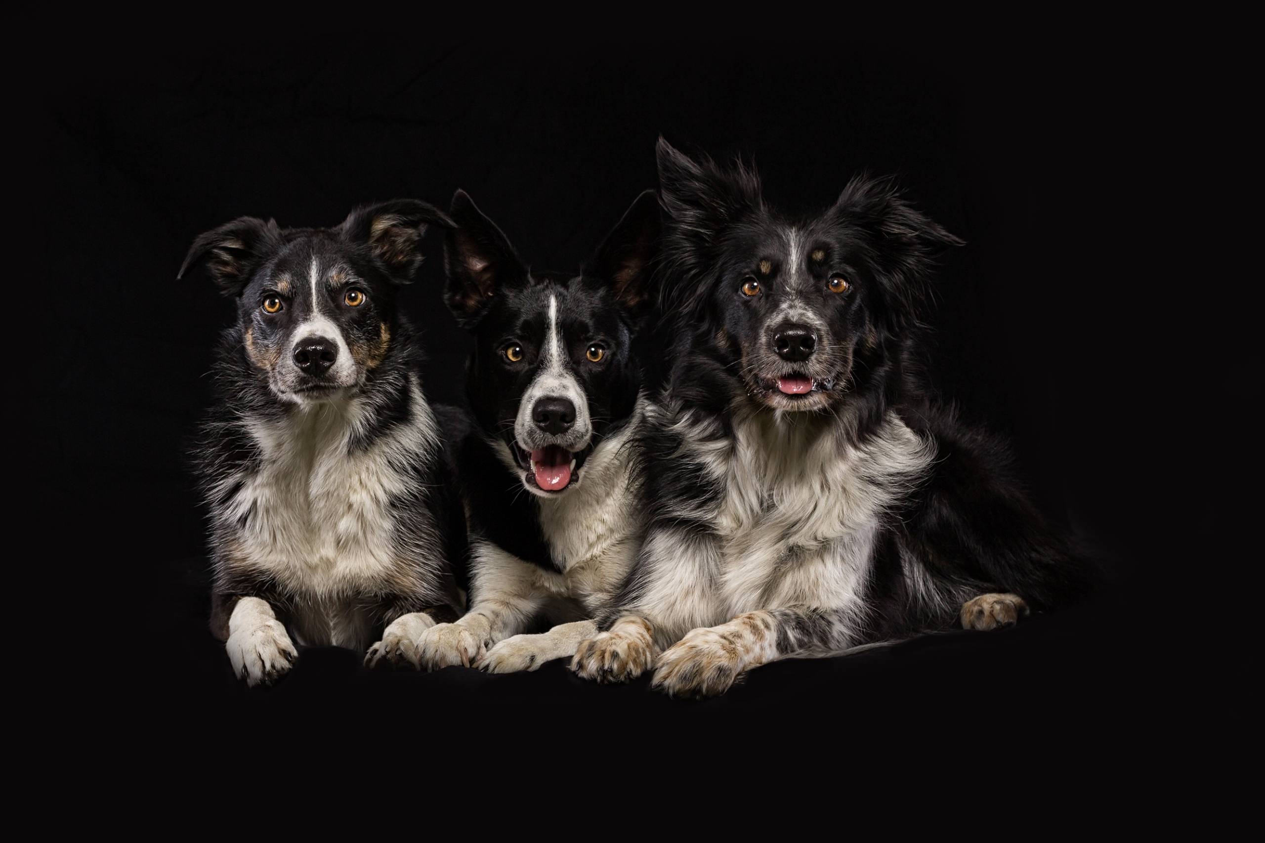 Fotoshooting