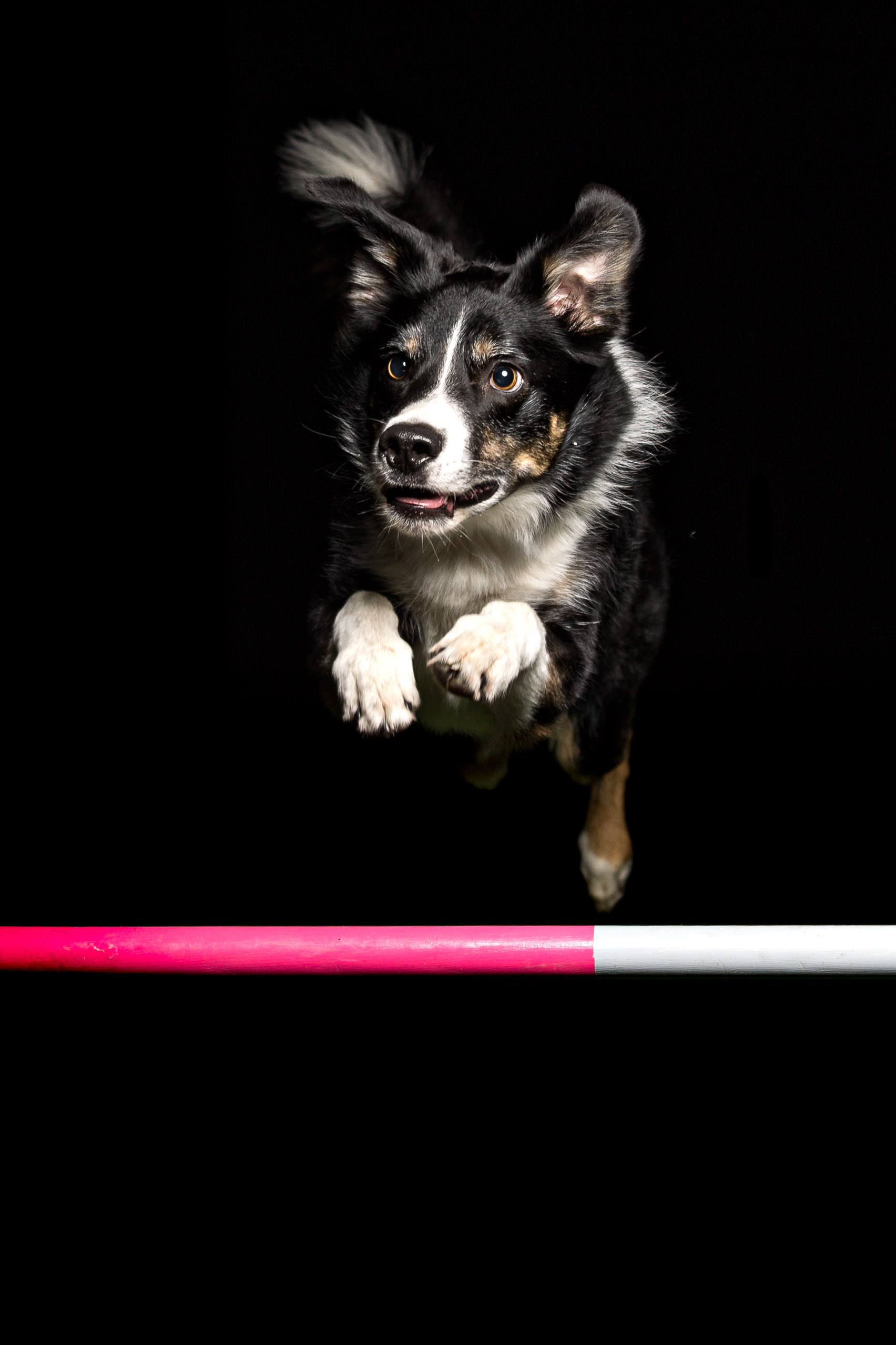 Fotoshooting