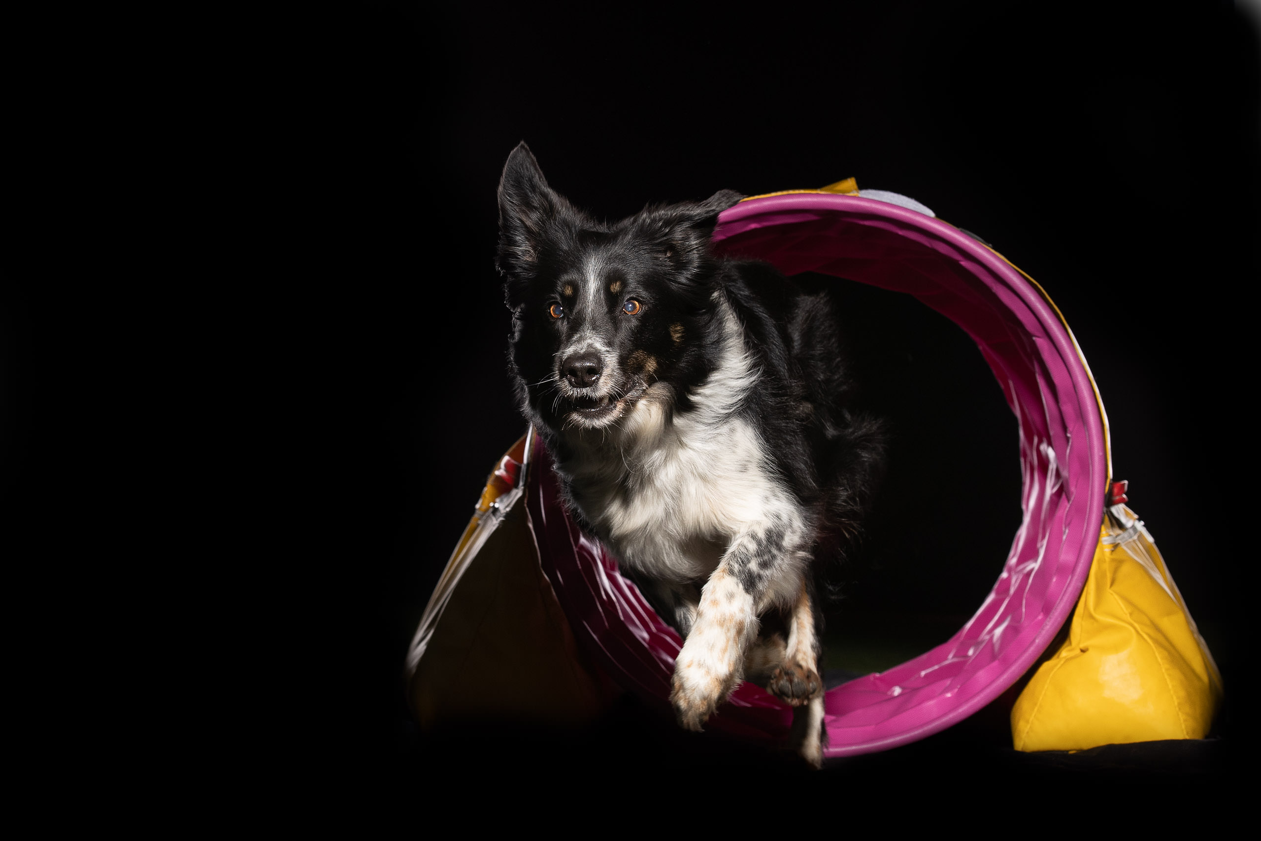 Fotoshooting