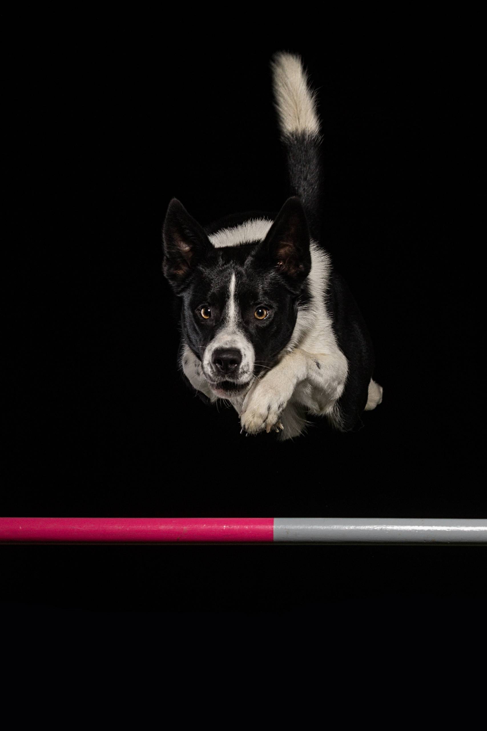 Fotoshooting